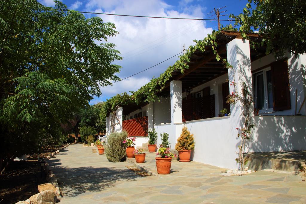 Marfo Apartment Batsi (Andros)